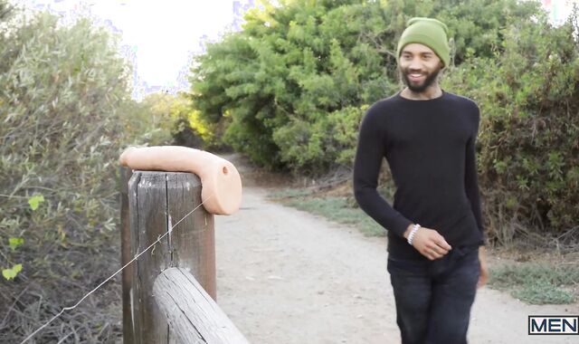 Bottom Fishing - Pierce Paris, Michael Boston Yankee tear up