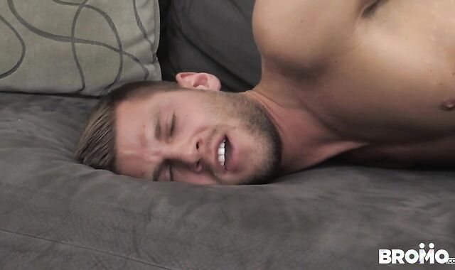 Stolen Identity - Breeding Enjoy