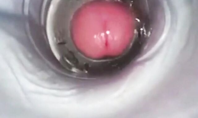 Amateur Big Cock Handjob Masturbation 2