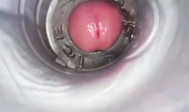 Amateur Big Cock Handjob Masturbation 2