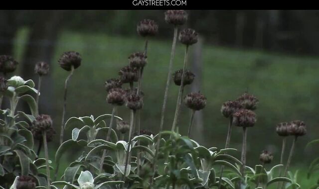 Reece Ryder And Freddie White