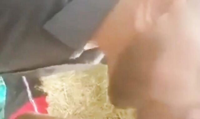 Gangbang Blowjob in the Parking Lot Calle