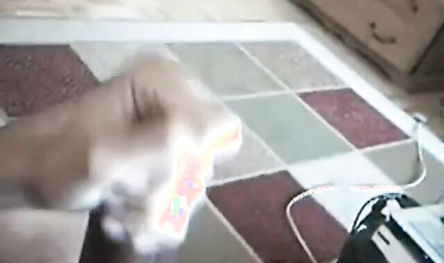 Big Black Cock Moaning