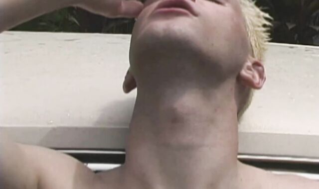 Andrew And Joey - Tropical Twinks