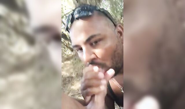 Bear Sucks and Swallows Outdoors