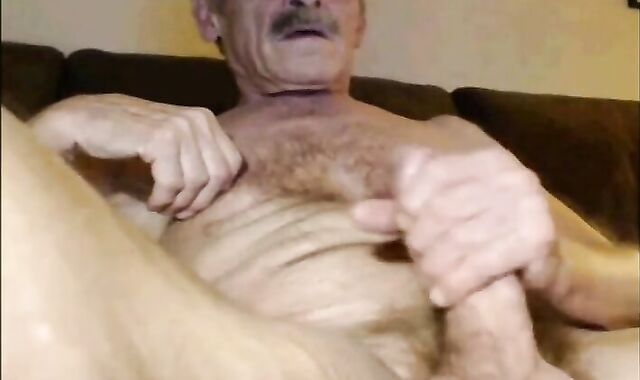 Big-Cock Grandpa Bear Stud