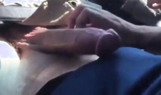 Gay Car Blowjob Amateur Video