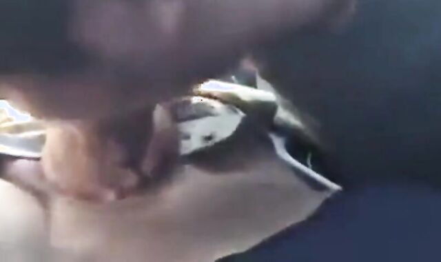 Gay Car Blowjob Amateur Video