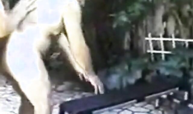 Bareback Bears Outdoor Adventure