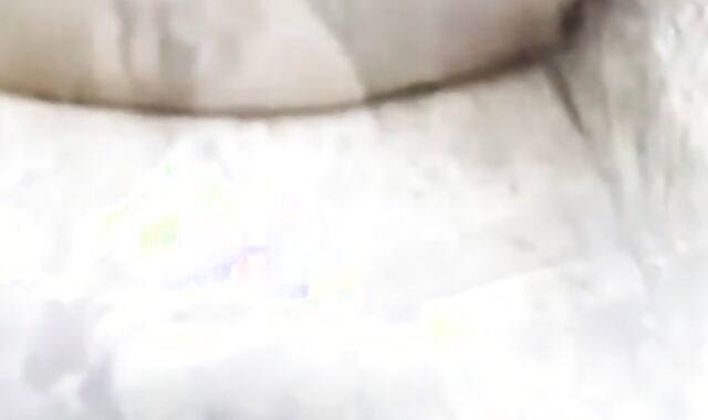 Bareback Bears Outdoor Adventure