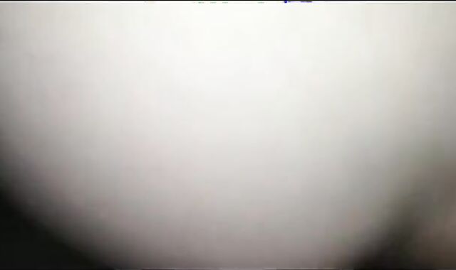 Bareback Big Cock Fucks Beyaz Gotlu