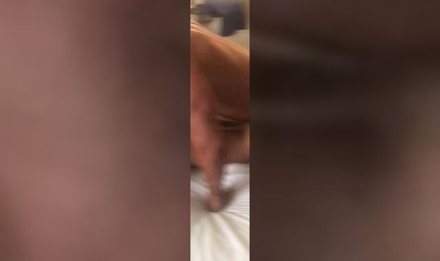 Fucked by a daddy couple