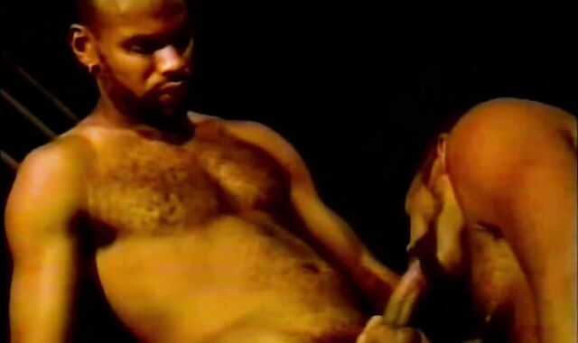 Andre Bolla And Bobby Blake And Paul Hanson And Rashann And