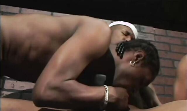 Sexcyone And Anaconda And Mickey And Dekarlo And Black