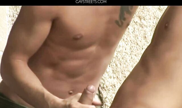 Troy Bolton And Kallum Ash