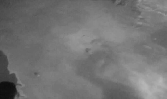 ACM0198 Straight Stud Fuck Fest 1 Part 1