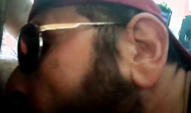 Rio de Janeiro Bull Sucking the Machos Off