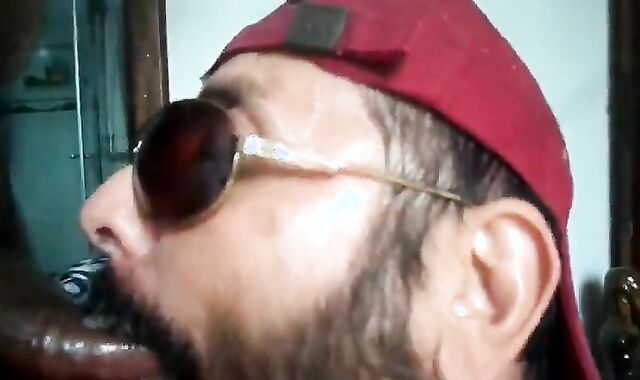 Rio de Janeiro Bull Sucking the Machos Off