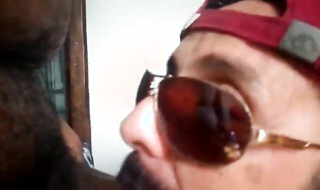 Rio de Janeiro Bull Sucking the Machos Off