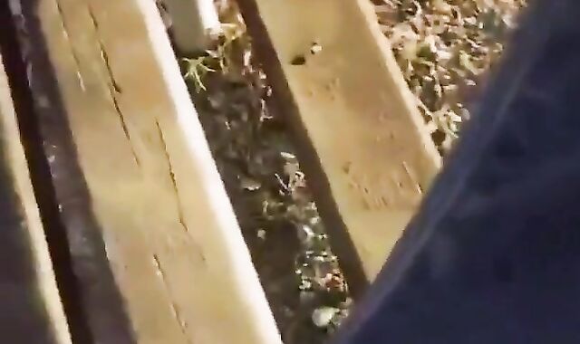 Str8 Big Cock Guy Stroking Outdoors on a Park Bench