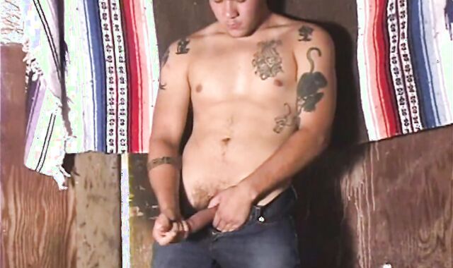 Tony HD hunk Porn