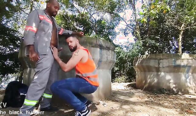 Interracial Fucking in Public Park