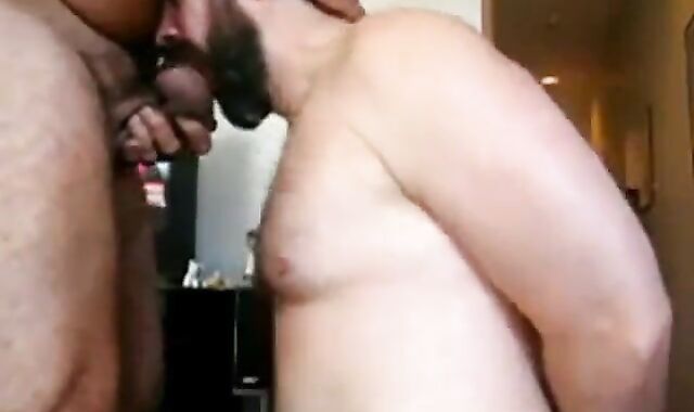 Beary Daddy Sucks Amateur Dick