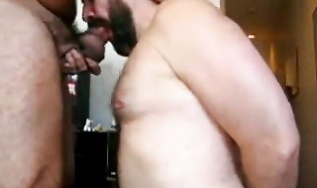 Beary Daddy Sucks Amateur Dick