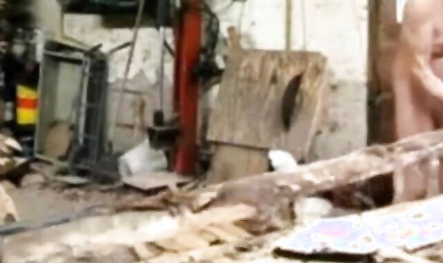 Silver Fox Strokes Wood at the Sawmill