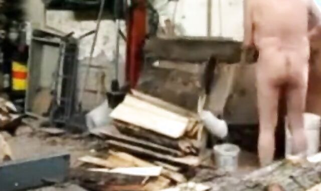 Silver Fox Strokes Wood at the Sawmill