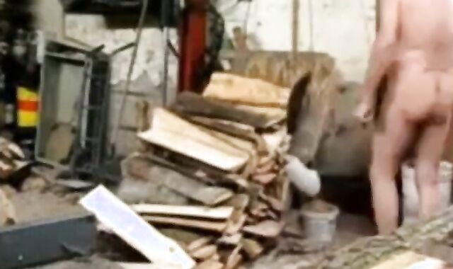 Silver Fox Strokes Wood at the Sawmill
