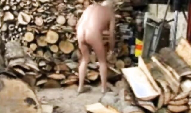 Silver Fox Strokes Wood at the Sawmill