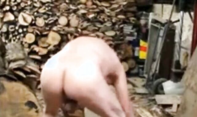Silver Fox Strokes Wood at the Sawmill
