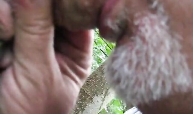Grindr Hookup: Daddy Bear Blowjob Outdoor