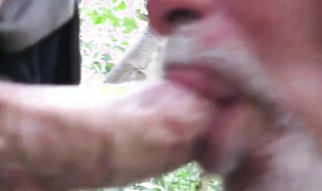 Grindr Hookup: Daddy Bear Blowjob Outdoor