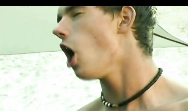 Samuel Hoffman And Mark Zebro And Nikolas Markov