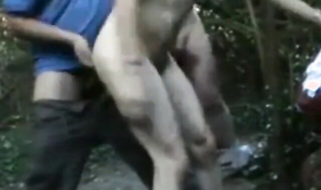 Bareback Whore Takes Multiple Cocks