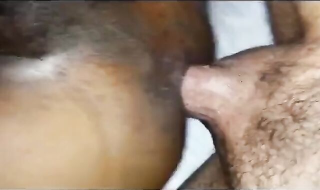 Black Bitch Bred by White Top Bareback