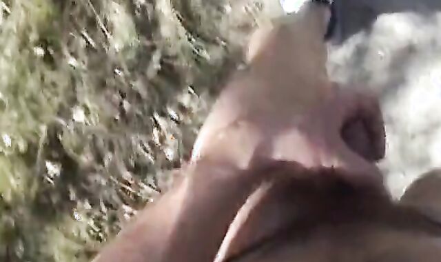 Outdoor Handjob Overlooking the Highway