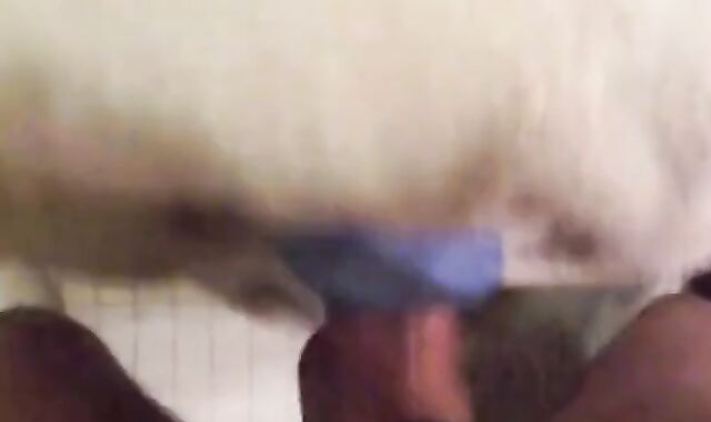 Hunk Humps Pillow to Hands-Free Orgasm