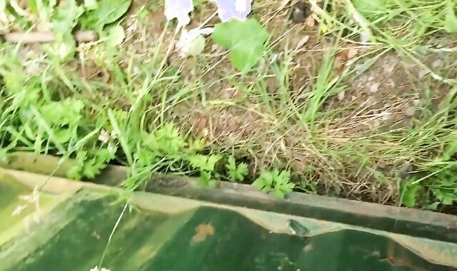 Playing with my big hard cock outdoors!