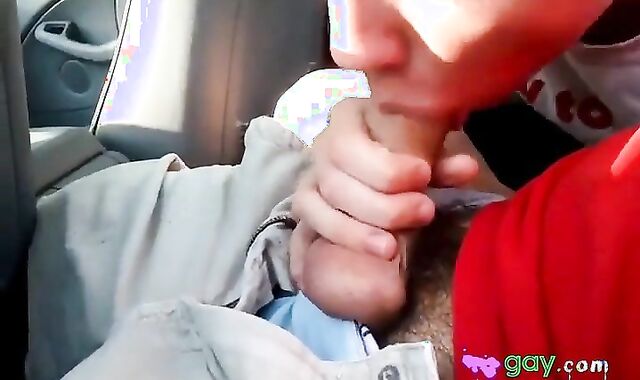 Sucking my buddy's big cock in the car 2