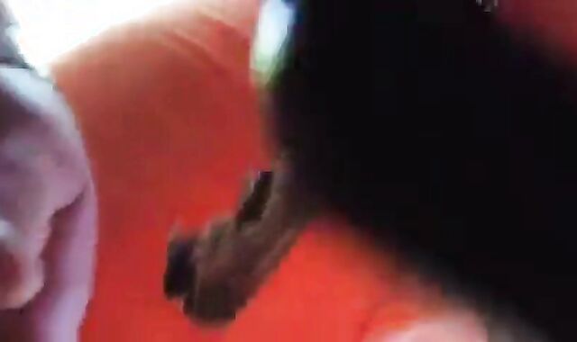 Bearded Daddy Sucks Outdoors