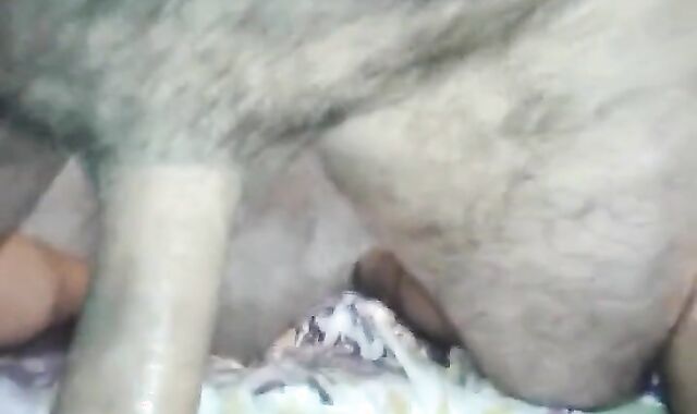 Bareback Amateur Argentinos