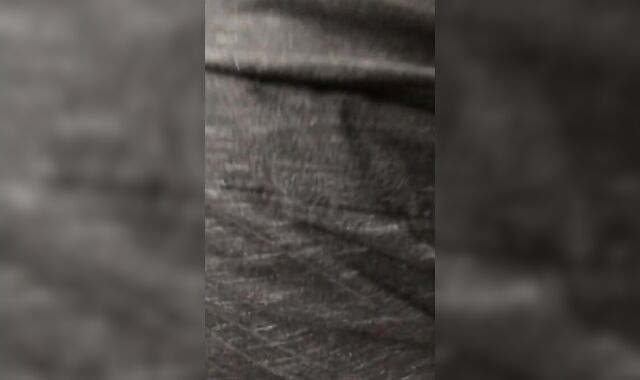 Daddy's Amateur Blowjob and Facial