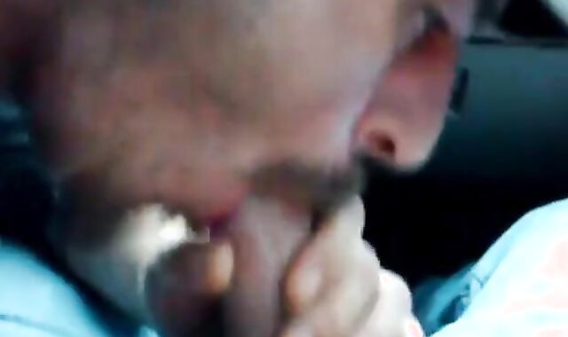 Stranger Blowjob for a Daddy Bear