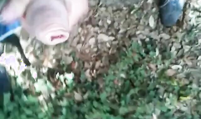 Bearded Man Masturbating Outdoors