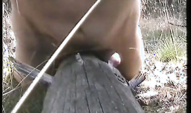 Outdoor Handjob Fun: Tree Trunk Humping Adventure 2