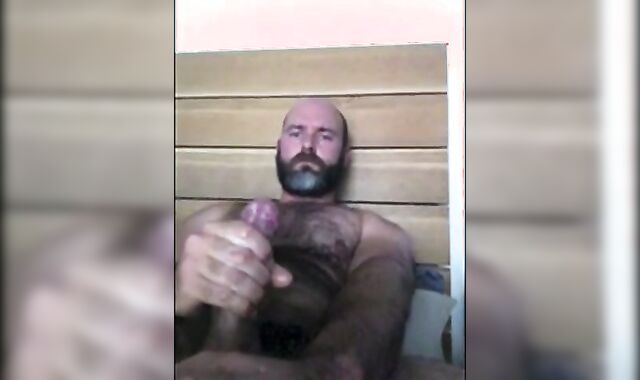 Osito se pajea solo en casa 2