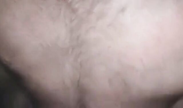 Big Cocks Bareback: Breeding Amateur Bears